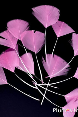 Pétales en plumes - 6-8 x 3-4 cm - rose ancien
